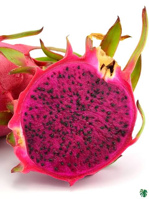 Dragon fruit