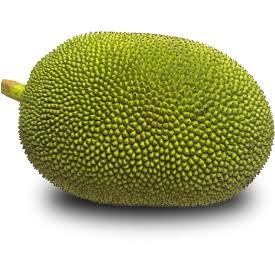 Jackfruit local fruit (large size )