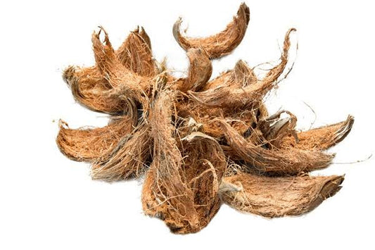 Dry Coconut peels