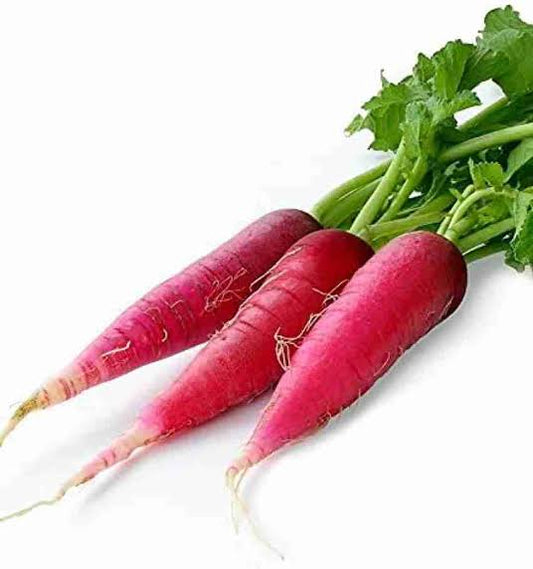 Red Radish (Mula) 1 bundle