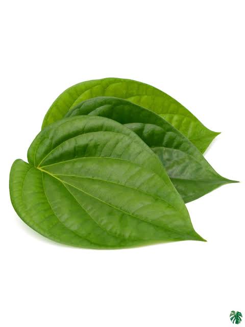 Betal leaves